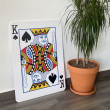Carte-jouer-geante-decorative-EN_Roi-de-Pique_Situation_2_1080.jpg