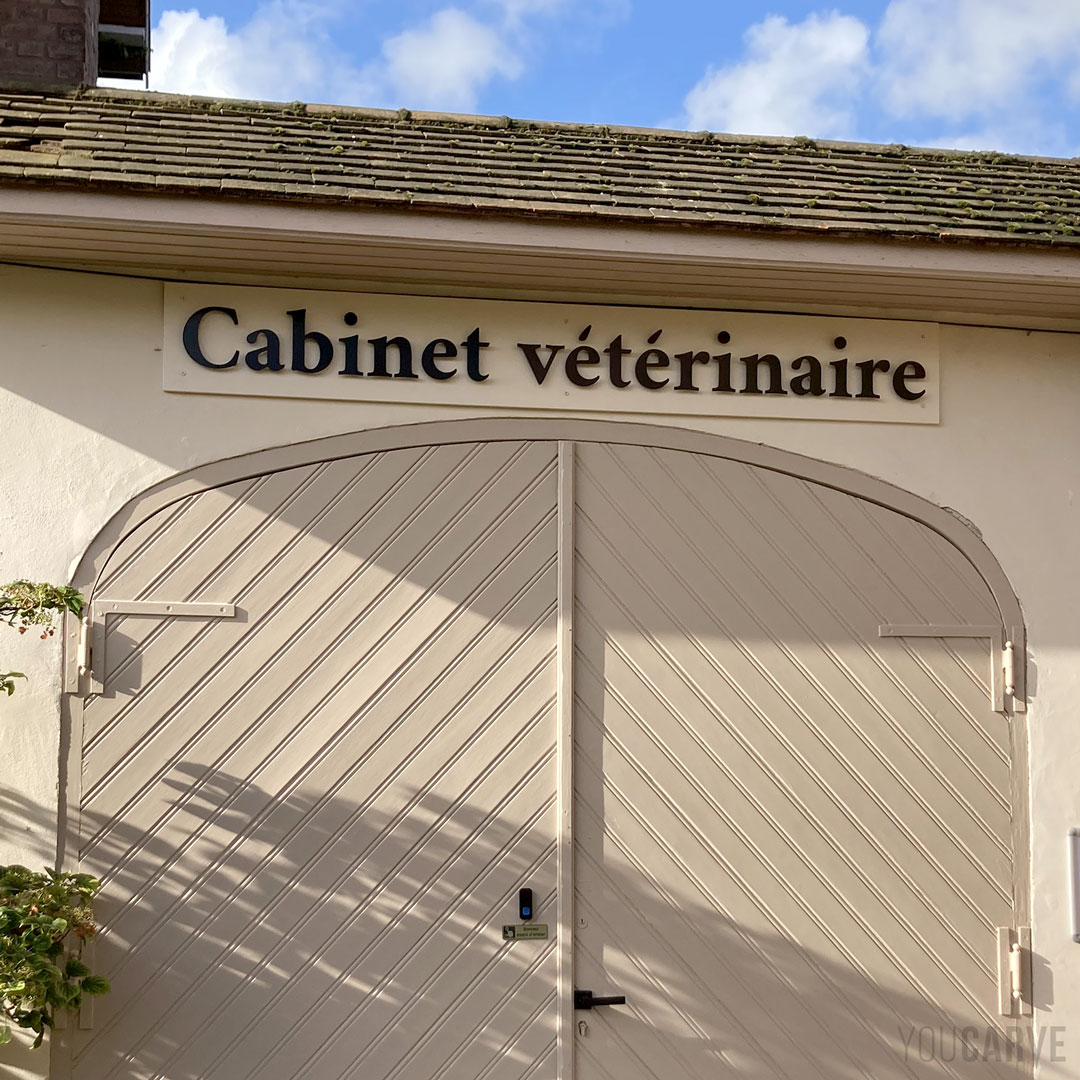 Veterinary practice sign in Roubaix, cut letters in matte black dibond, fixed on spacers on facade